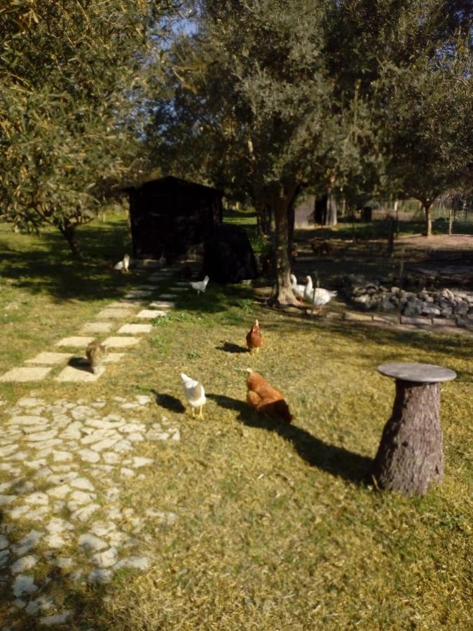 Il Poggetto Marzamemi B&B Luaran gambar